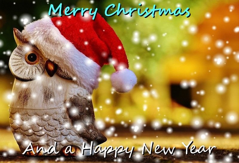 Weihnachten Eule